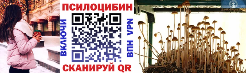 Псилоцибиновые грибы ЛСД  Заринск 